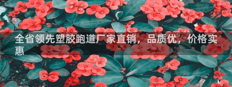 谈球吧怎么样：全省领先塑胶跑道厂家直销，品质优，价格