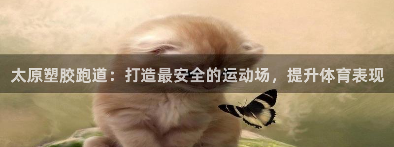 谈球吧体育赛事：太原塑胶跑道：打造最安全的运动场，提
