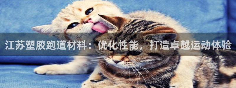 谈球吧平台黑吗?