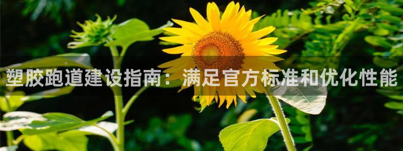 谈球吧体育官网在线入口免费观看：塑胶跑道建设指南：满足官方标准和优化性能