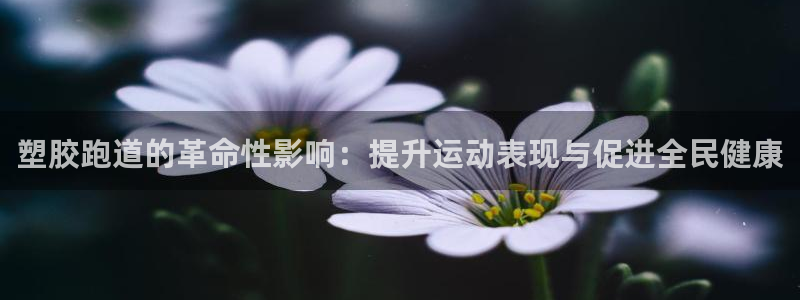谈球吧体育app登陆：塑胶跑道的革命性影响：提升运动