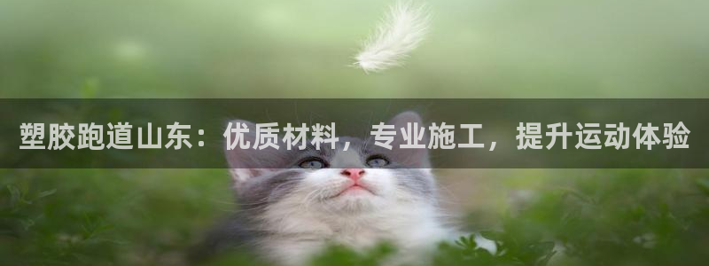 谈球吧平台正规吗可信吗知乎：塑胶跑道山东：优质材料，
