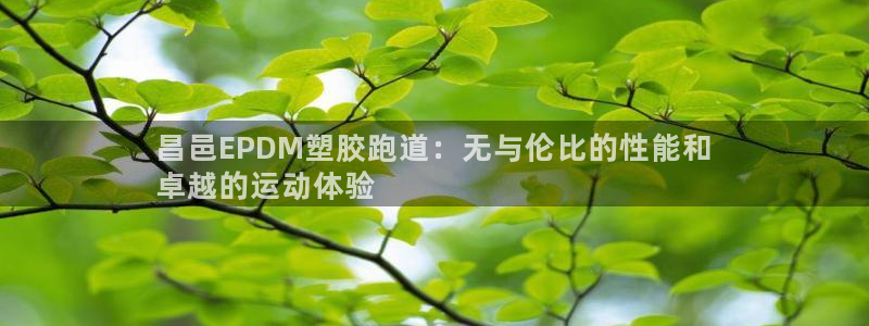 谈球吧咋样：昌邑EPDM塑胶跑道：无与伦比的性能和
卓越的运动体验