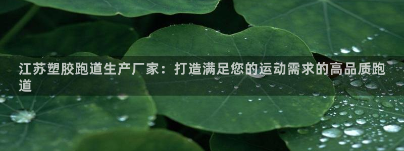 谈球吧平台：江苏塑胶跑道生产厂家：打造满足您的运动需求的高品质跑
道