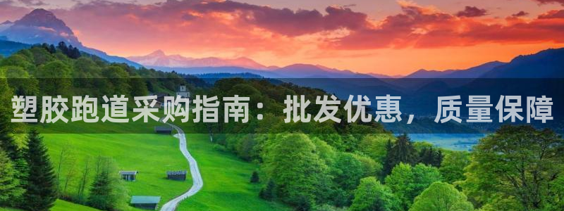 谈球吧体育app官网下载安卓：塑胶跑道采购指南：批发