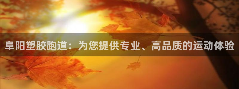 谈球吧平台黑吗?：阜阳塑胶跑道：为您提供专业、高品质