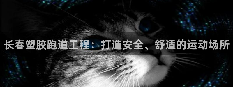 谈球吧娱乐app下载官网苹果版：长春塑胶跑道工程：打造安全、舒适的运动场所