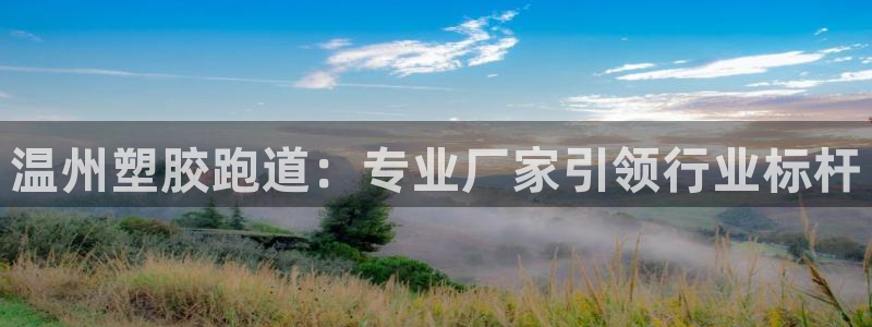 谈球吧打不开了：温州塑胶跑道：专业厂家引领行业标杆