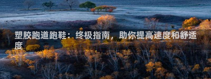 谈球吧是黑台子吗是真的吗：塑胶跑道跑鞋：终极指南，助你提高速度和舒适
度