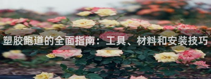 谈球吧体育app下载官网手机版苹果：塑胶跑道的全面指南：工具、材料和安装技巧