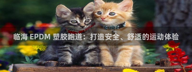 谈球吧官网在线入口免费观看高清：临海 EPDM 塑胶