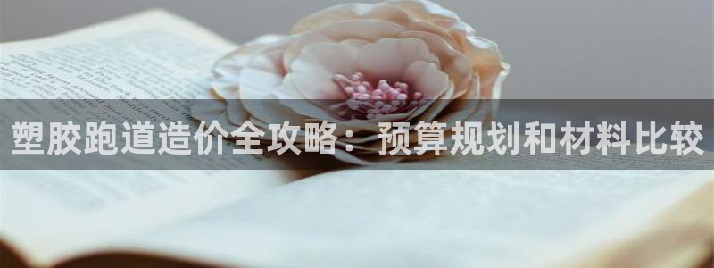 谈球吧官网入口：塑胶跑道造价全攻略：预算规划和材料比较