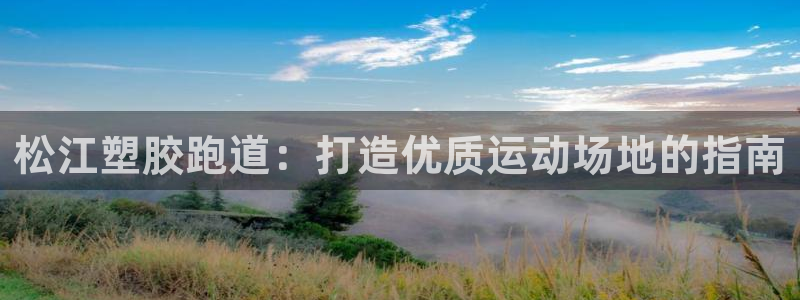 谈球吧体育app官网：松江塑胶跑道：打造优质运动场地的指南