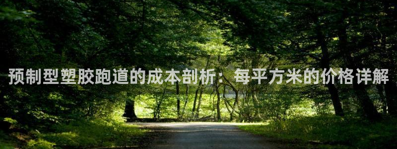 谈球吧官网在线入口手机版免费下载：预制型塑胶跑道的成本剖析：每平方米的价格详解
