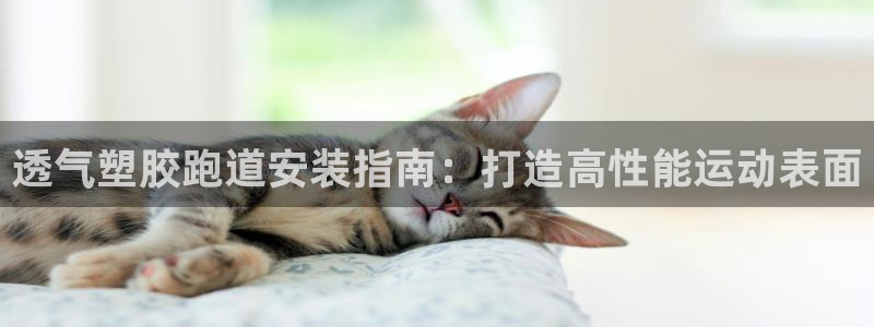 谈球吧咋样黑钱：透气塑胶跑道安装指南：打造高性能运动