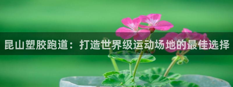谈球吧全站app下载手机版：昆山塑胶跑道：打造世界级运动场地的最佳选择