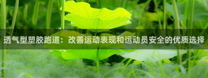 谈球吧在线：透气型塑胶跑道：改善运动表现和运动员安全的优质选择