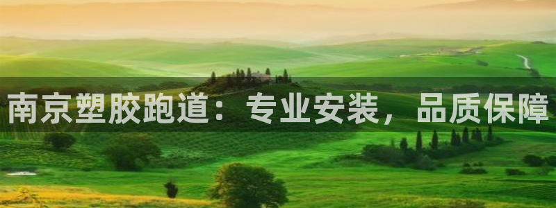 谈球吧出款：南京塑胶跑道：专业安装，品质保障