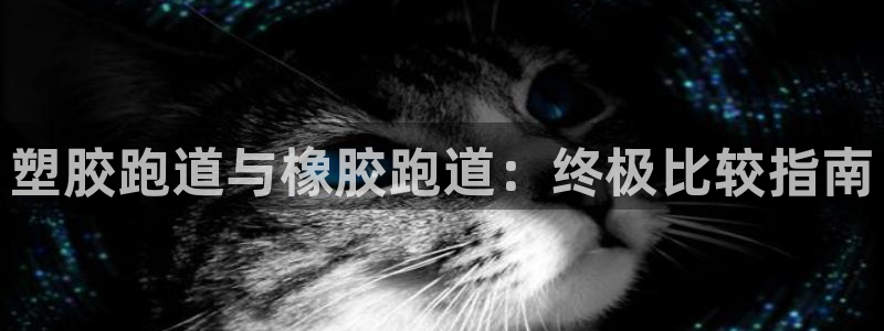 谈球吧不出款：塑胶跑道与橡胶跑道：终极比较指南