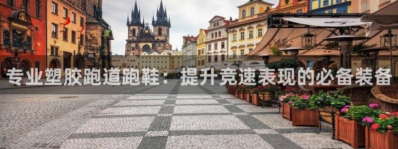 谈球吧不出款：专业塑胶跑道跑鞋：提升竞速表现的必备装备