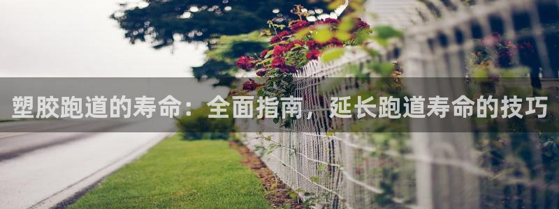 谈球吧买球提现：塑胶跑道的寿命：全面指南，延长跑道寿命的技巧