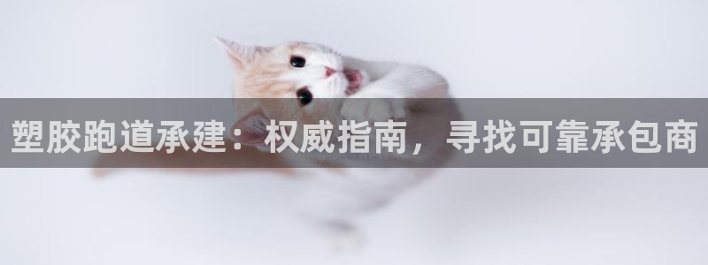 谈球吧首页：塑胶跑道承建：权威指南，寻找可靠承包商
