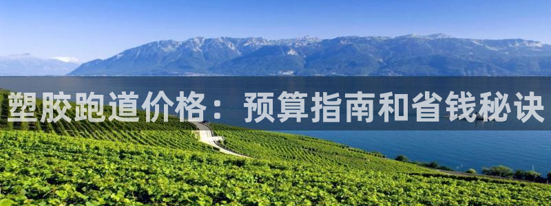 谈球吧红包码：塑胶跑道价格：预算指南和省钱秘诀
