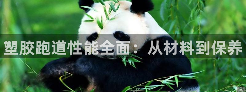 谈球吧电子：塑胶跑道性能全面：从材料到保养