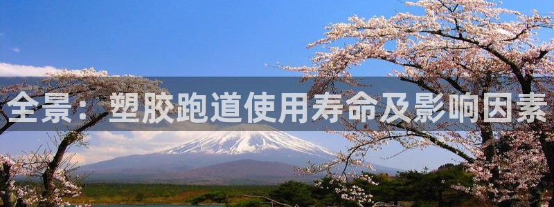 谈球吧体育app官网下载安装：全景：塑胶跑道使用寿命及影响因素