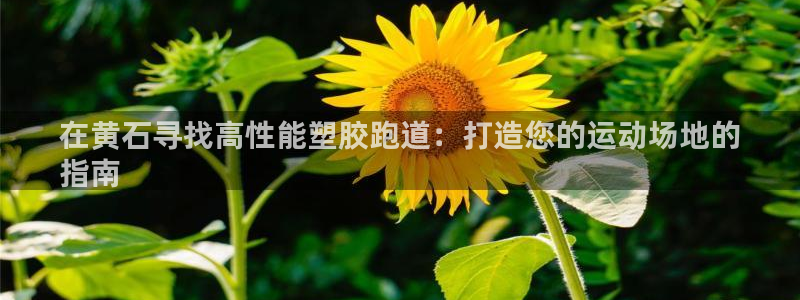 谈球吧官网在线入口手机版免费观看：在黄石寻找高性能塑胶跑道：打造您的运动场地的
指南