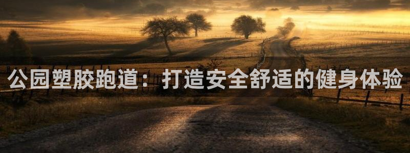 谈球吧体育综合：公园塑胶跑道：打造安全舒适的健身体验