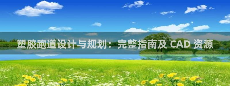 谈球吧体育在线：塑胶跑道设计与规划：完整指南及 CAD 资源