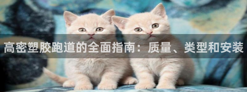 谈球吧在线登录免费观看：高密塑胶跑道的全面指南：质量、类型和安装