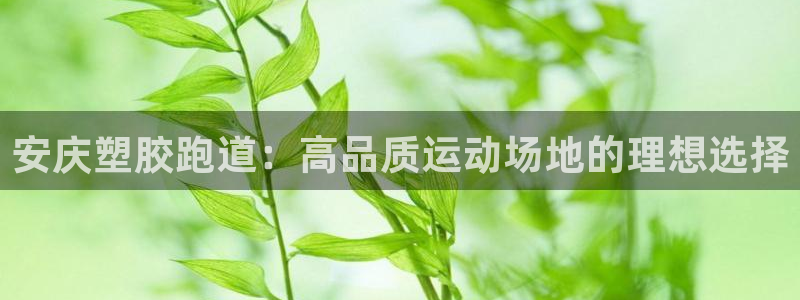 谈球吧是否诈骗：安庆塑胶跑道：高品质运动场地的理想选择