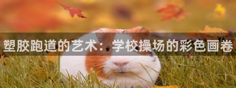 谈球吧官网在线入口免费观看视频下载：塑胶跑道的艺术：学校操场的彩色画卷