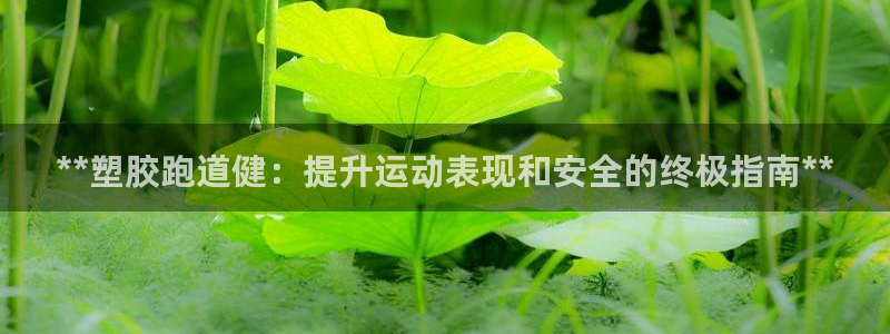 谈球吧最新APP下载：**塑胶跑道健：提升运动表现和安全的终极指南**