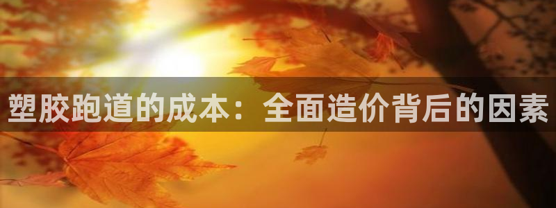谈球吧出款怎样?：塑胶跑道的成本：全面造价背后的因素