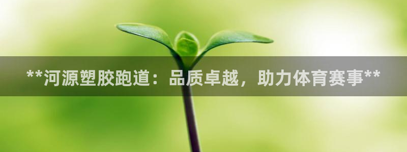 谈球吧官网在线入口免费观看视频：**河源塑胶跑道：品质卓越，助力体育赛事**