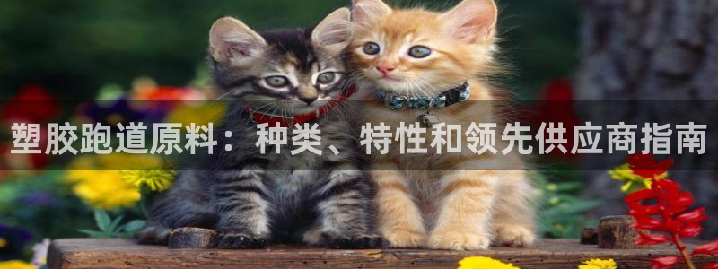 谈球吧体育app下载中心官方网站：塑胶跑道原料：种类、特性和领先供应商指南
