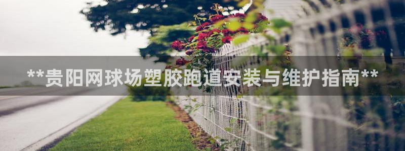 谈球吧算违法行为吗知乎：**贵阳网球场塑胶跑道安装与维护指南**