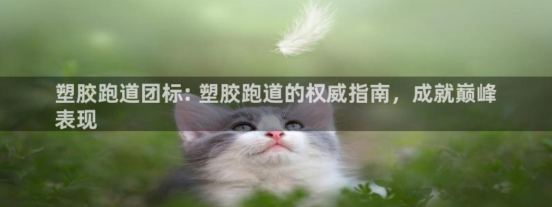 谈球吧论坛