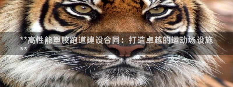谈球吧算违法行为吗知乎：**高性能塑胶跑道建设合同：打造卓越的运动场设施
**