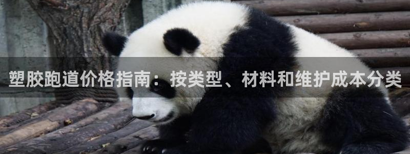 谈球吧平台正规吗可信吗：塑胶跑道价格指南：按类型、材料和维护成本分类