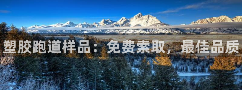 谈球吧登录地址：塑胶跑道样品：免费索取，最佳品质