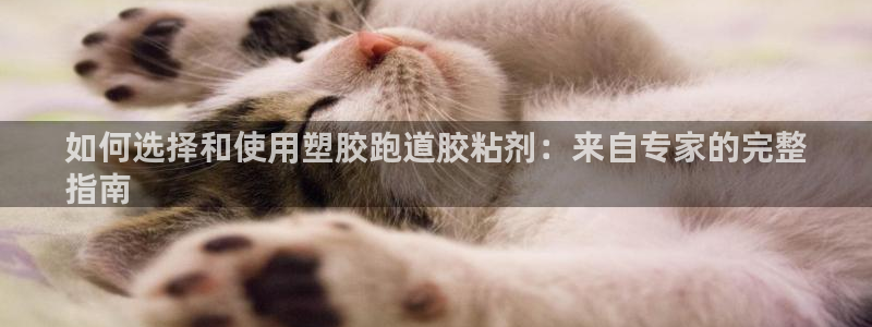 谈球吧网页版在线入口：如何选择和使用塑胶跑道胶粘剂：来自专家的完整
指南