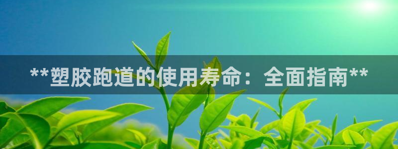 谈球吧体育app下载中心官方网站：**塑胶跑道的使用寿命：全面指南**