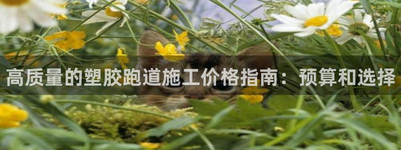 谈球吧nba：高质量的塑胶跑道施工价格指南：预算和选择