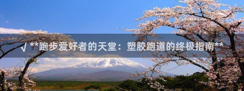 谈球吧app下载：√ **跑步爱好者的天堂：塑胶跑道的终极指南**