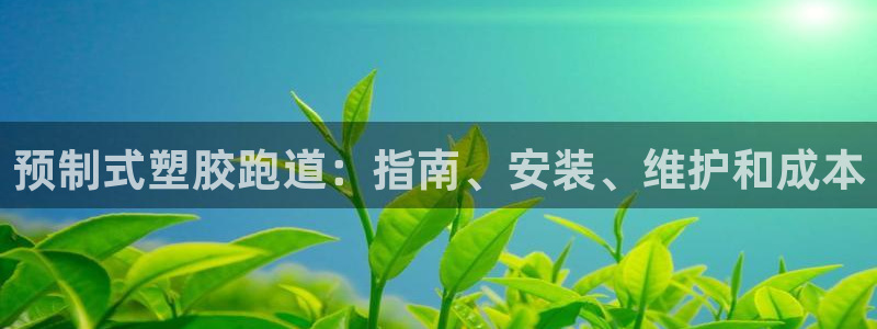 谈球吧是黑台子吗知乎全文：预制式塑胶跑道：指南、安装、维护和成本