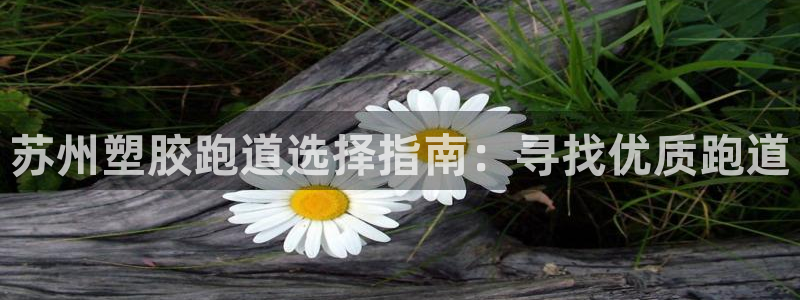 谈球吧是黑台子吗还是白台子：苏州塑胶跑道选择指南：寻找优质跑道